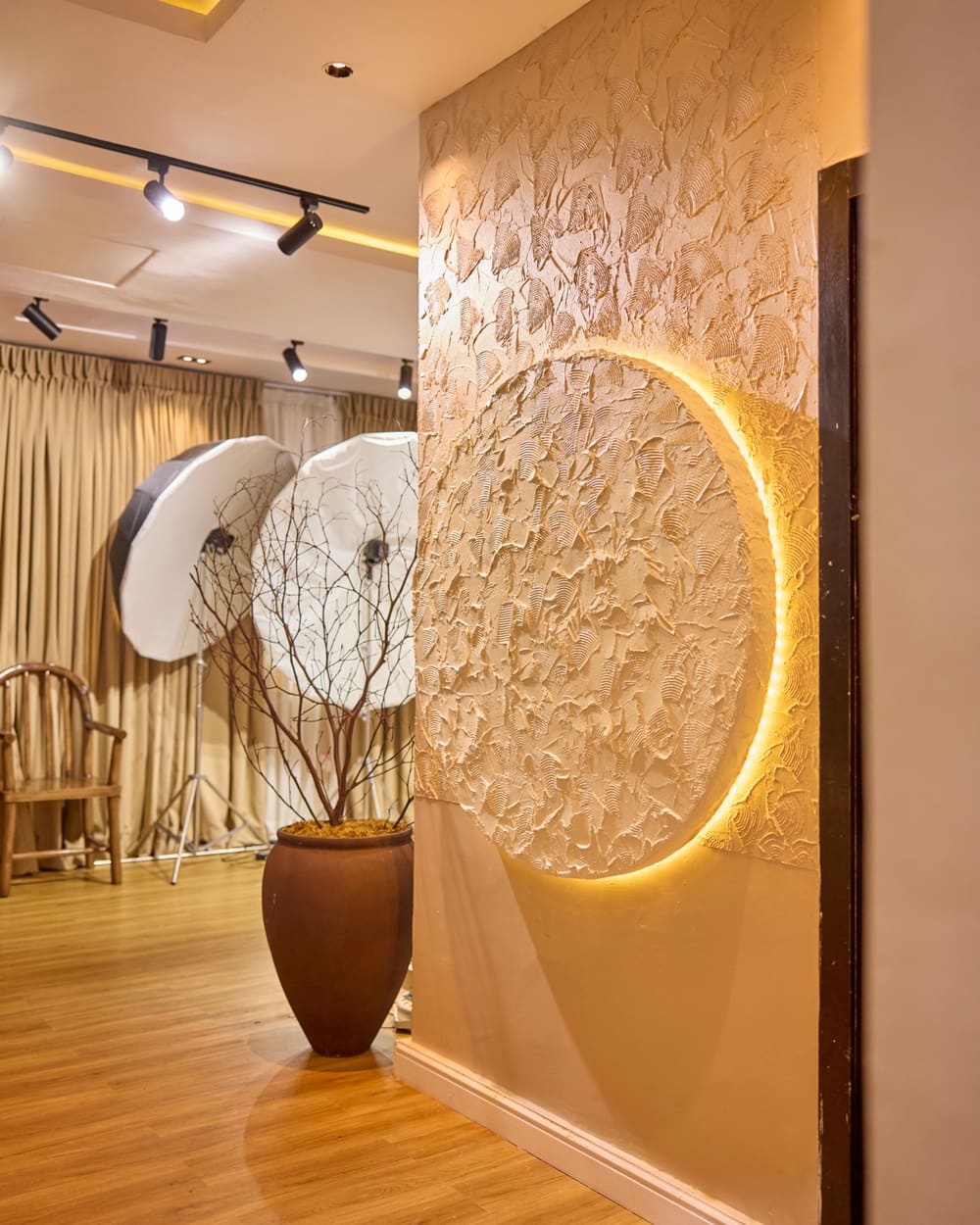 Textured plaster wall with a circular light and dried branches